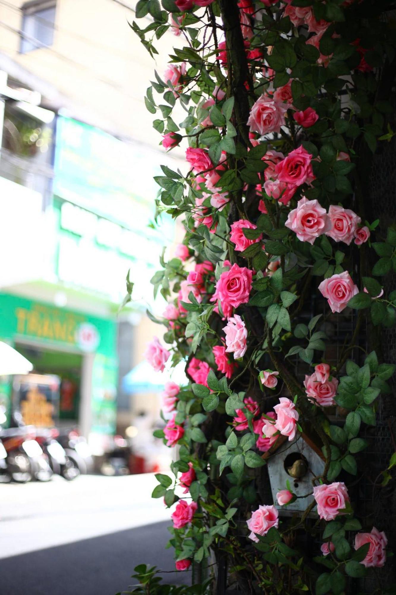 Ruby Rose House Otel Da Lat Dış mekan fotoğraf